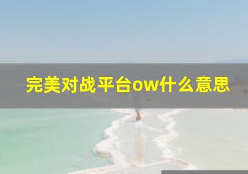 完美对战平台ow什么意思