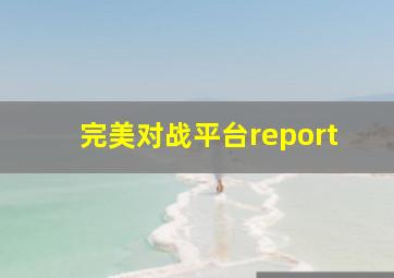 完美对战平台report