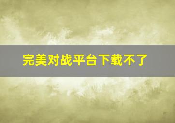 完美对战平台下载不了