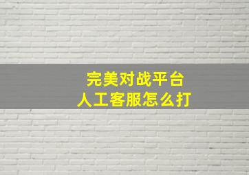 完美对战平台人工客服怎么打