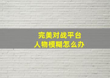 完美对战平台人物模糊怎么办