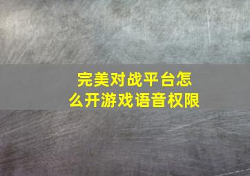 完美对战平台怎么开游戏语音权限