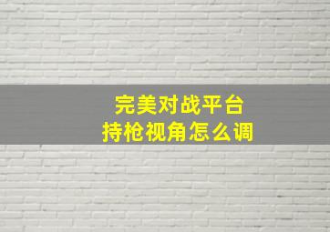 完美对战平台持枪视角怎么调