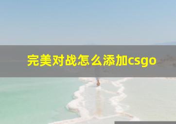 完美对战怎么添加csgo