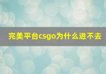 完美平台csgo为什么进不去