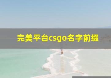 完美平台csgo名字前缀