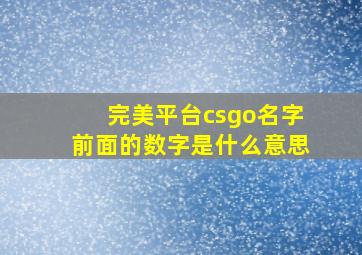 完美平台csgo名字前面的数字是什么意思