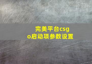 完美平台csgo启动项参数设置