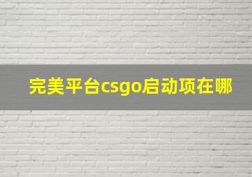 完美平台csgo启动项在哪