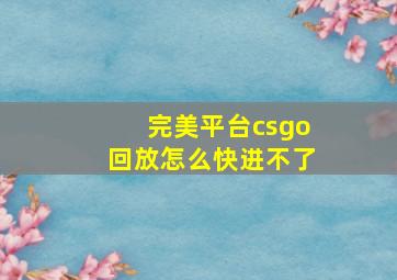 完美平台csgo回放怎么快进不了