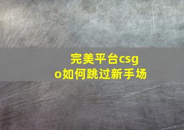 完美平台csgo如何跳过新手场