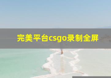 完美平台csgo录制全屏