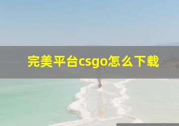 完美平台csgo怎么下载