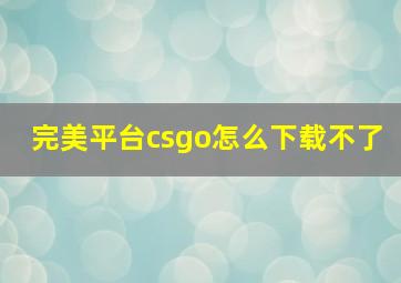 完美平台csgo怎么下载不了