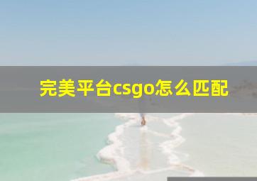 完美平台csgo怎么匹配