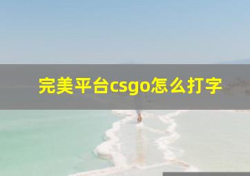 完美平台csgo怎么打字