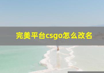 完美平台csgo怎么改名