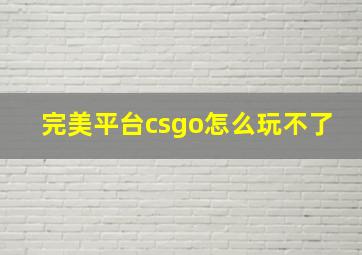 完美平台csgo怎么玩不了