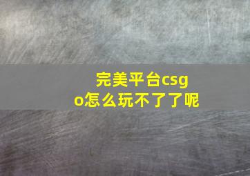 完美平台csgo怎么玩不了了呢