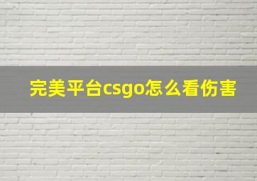 完美平台csgo怎么看伤害