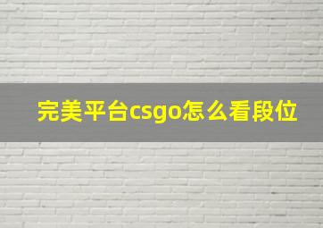 完美平台csgo怎么看段位