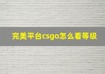 完美平台csgo怎么看等级