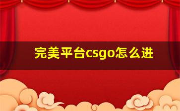 完美平台csgo怎么进