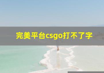 完美平台csgo打不了字