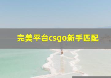 完美平台csgo新手匹配