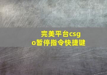 完美平台csgo暂停指令快捷键