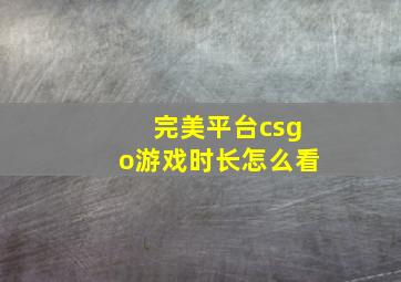 完美平台csgo游戏时长怎么看