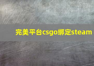 完美平台csgo绑定steam