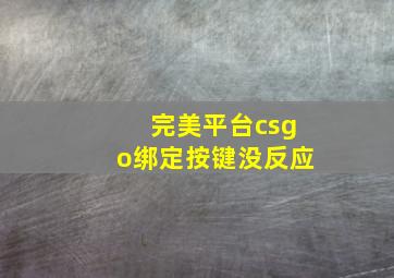 完美平台csgo绑定按键没反应