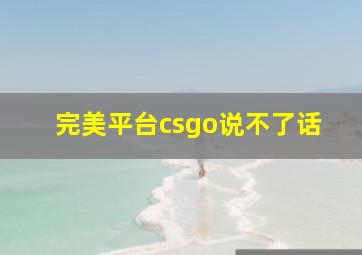 完美平台csgo说不了话