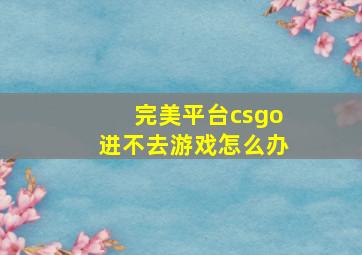 完美平台csgo进不去游戏怎么办