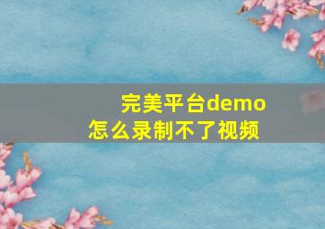 完美平台demo怎么录制不了视频