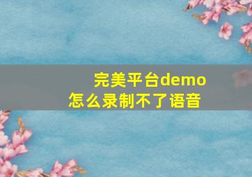 完美平台demo怎么录制不了语音