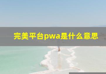 完美平台pwa是什么意思