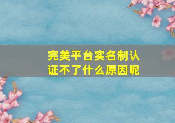 完美平台实名制认证不了什么原因呢