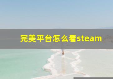 完美平台怎么看steam