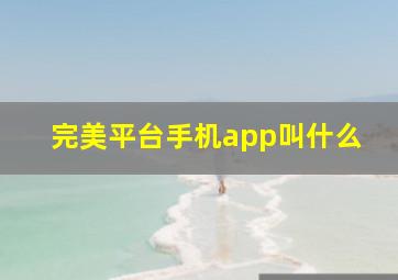 完美平台手机app叫什么