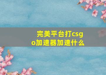 完美平台打csgo加速器加速什么