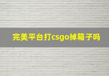 完美平台打csgo掉箱子吗