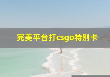 完美平台打csgo特别卡