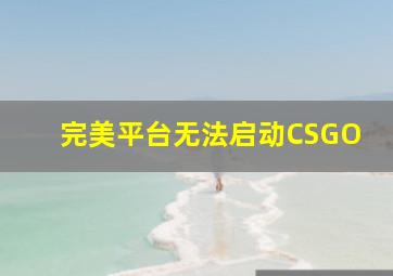 完美平台无法启动CSGO