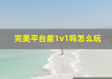 完美平台能1v1吗怎么玩