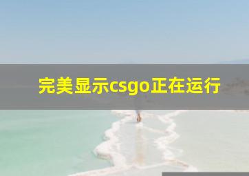 完美显示csgo正在运行