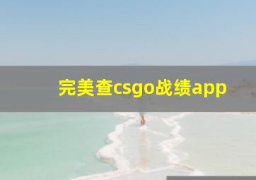 完美查csgo战绩app