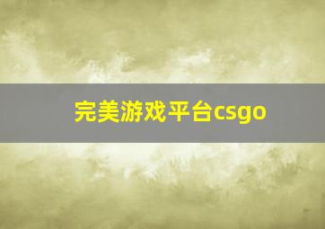 完美游戏平台csgo