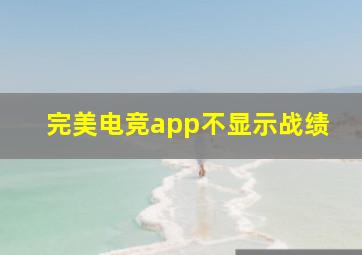 完美电竞app不显示战绩